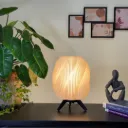 Zbrion Swirl Table Lamp